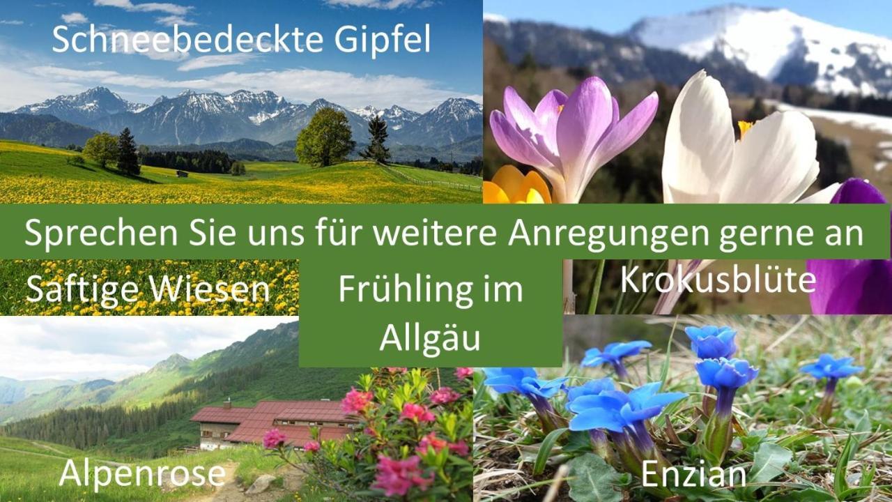 Moderne FeWo im Allgäu mit Spülmaschine Weitnau Exterior foto