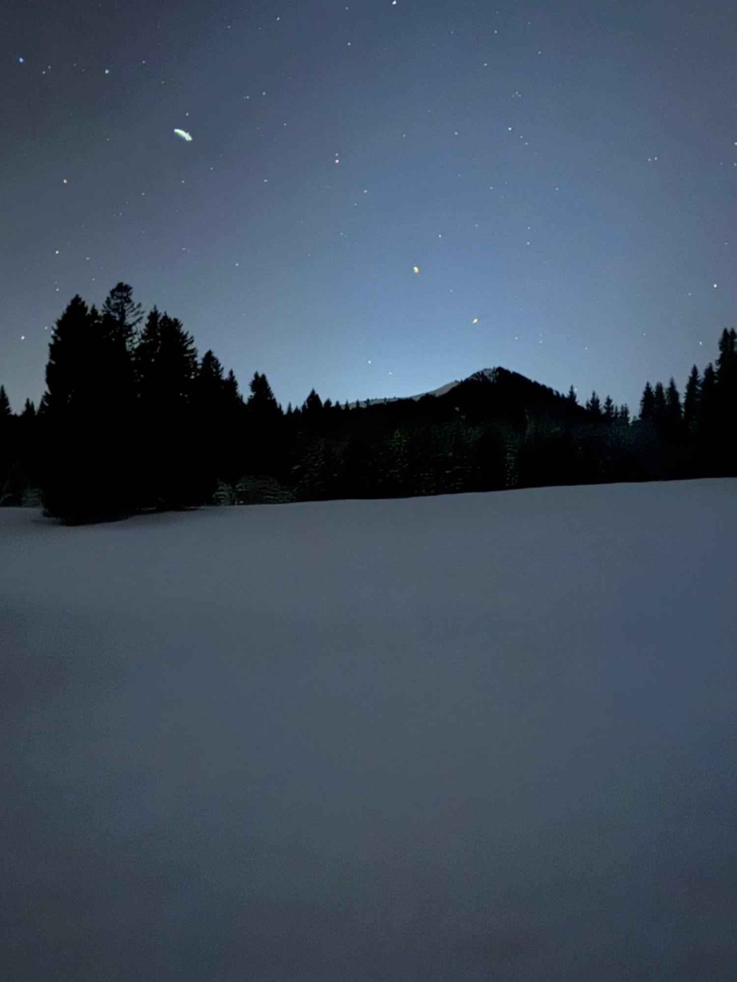 Moderne FeWo im Allgäu mit Spülmaschine Weitnau Exterior foto