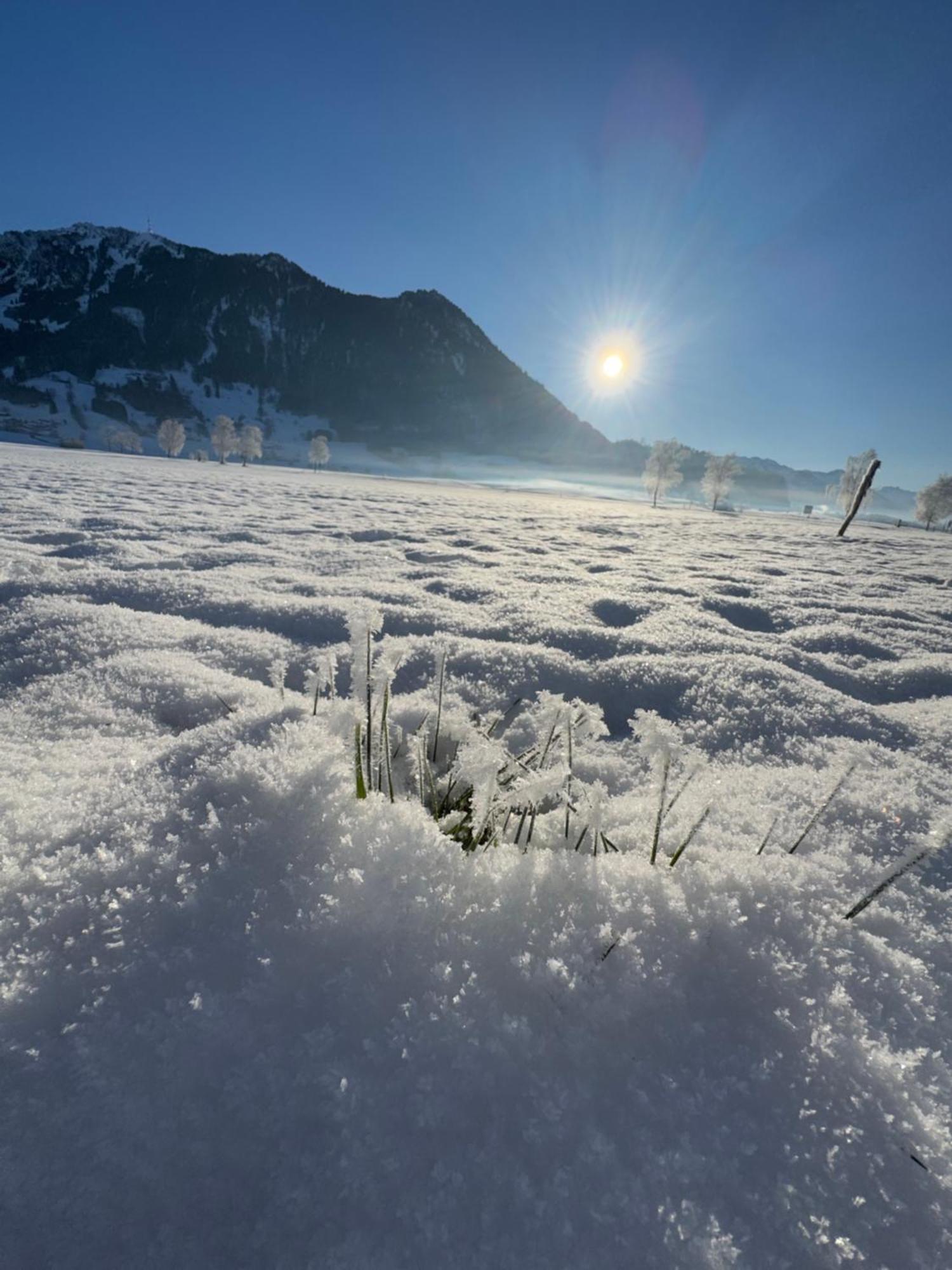 Moderne FeWo im Allgäu mit Spülmaschine Weitnau Exterior foto