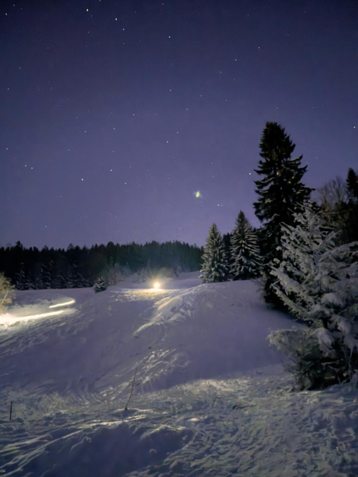Moderne FeWo im Allgäu mit Spülmaschine Weitnau Exterior foto