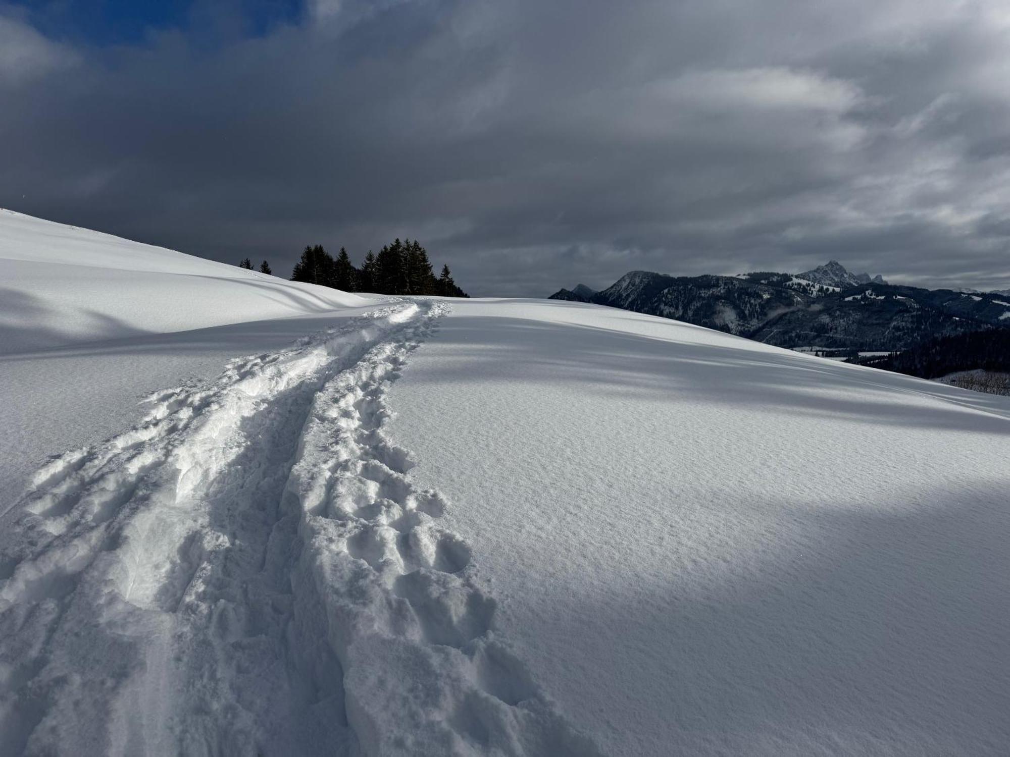 Moderne FeWo im Allgäu mit Spülmaschine Weitnau Exterior foto