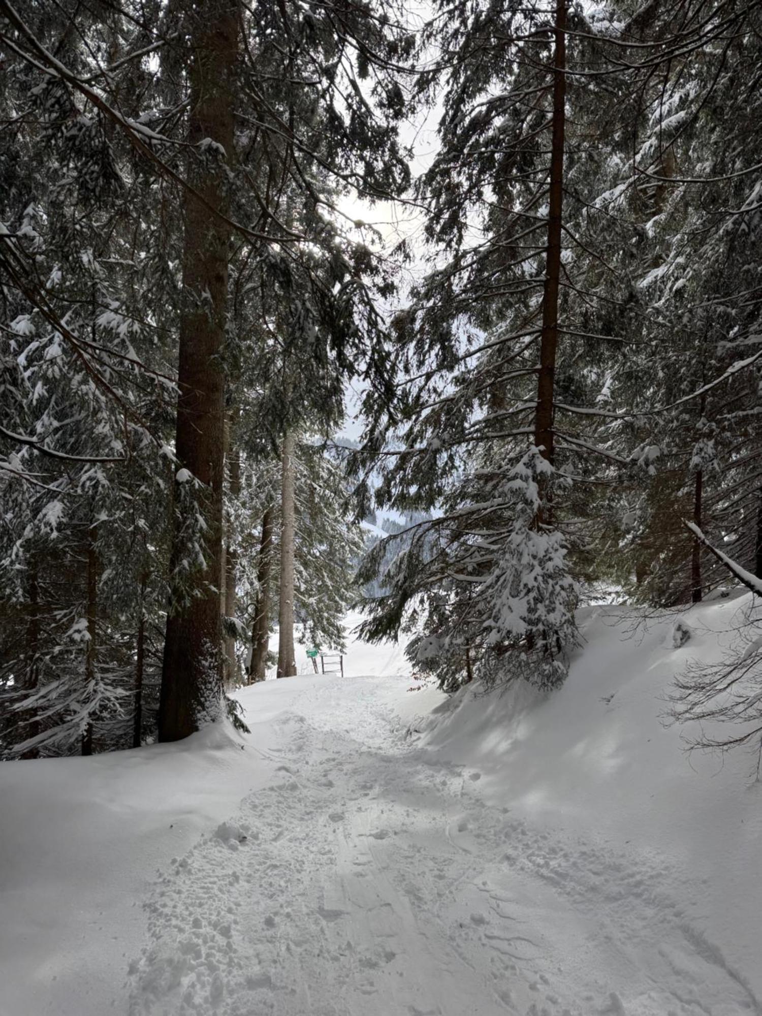 Moderne FeWo im Allgäu mit Spülmaschine Weitnau Exterior foto