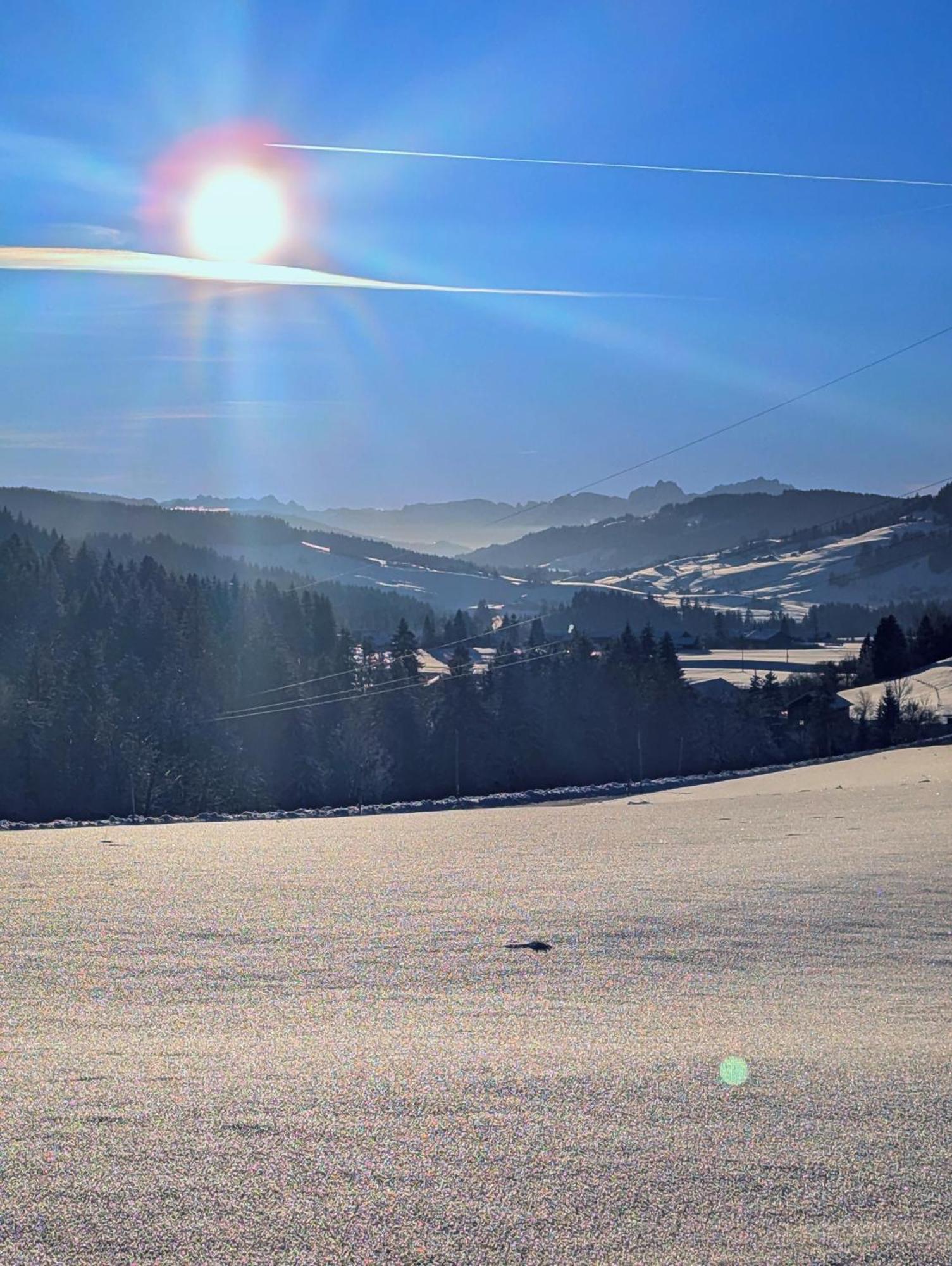 Moderne FeWo im Allgäu mit Spülmaschine Weitnau Exterior foto